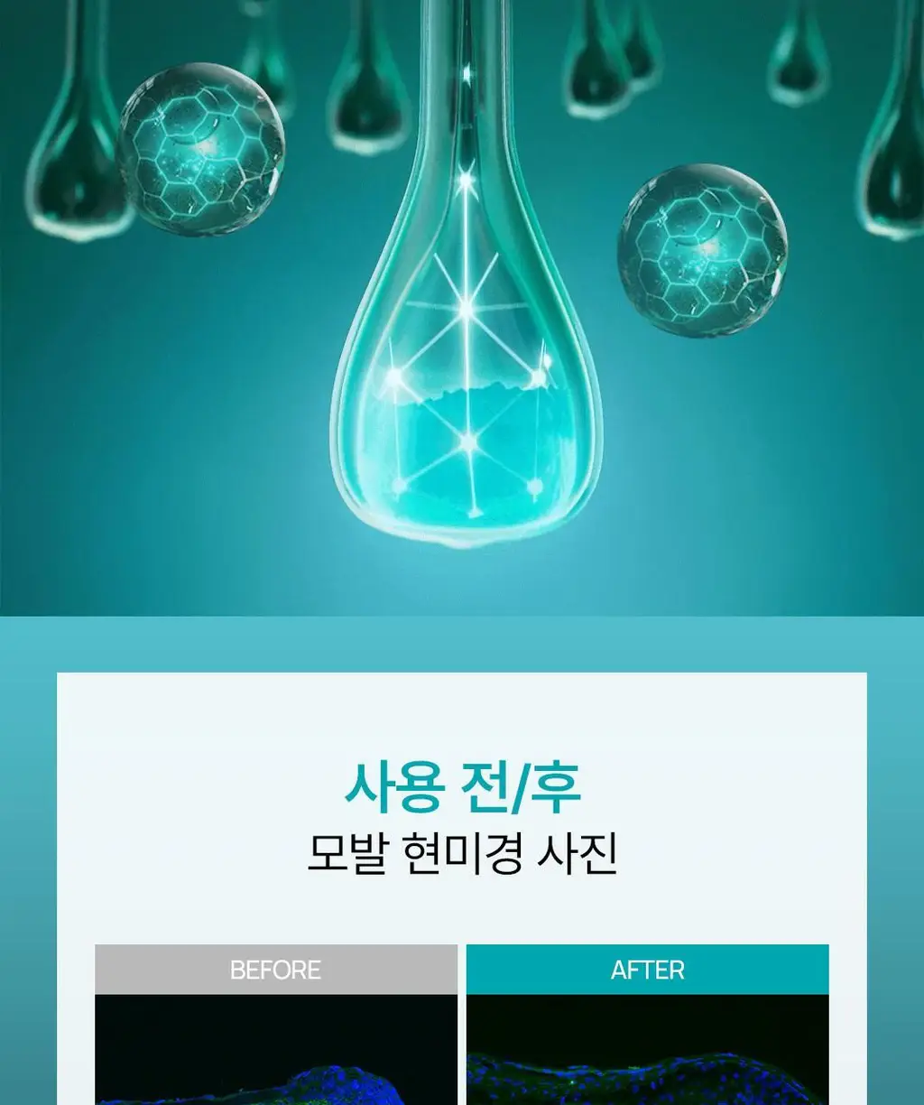 [NEW][모발 영양 케어] 르네휘테르 트리파직 K85 프로폴리스 모발 강화 앰플 100ml 상세페이지 9